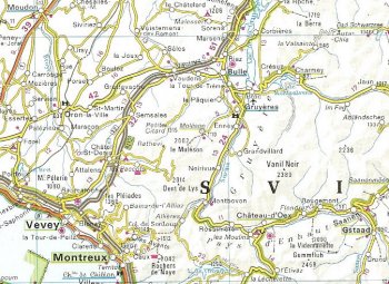 Carta geografica svizzera dell’area del Moléson nel Friburgo (39621 bytes)